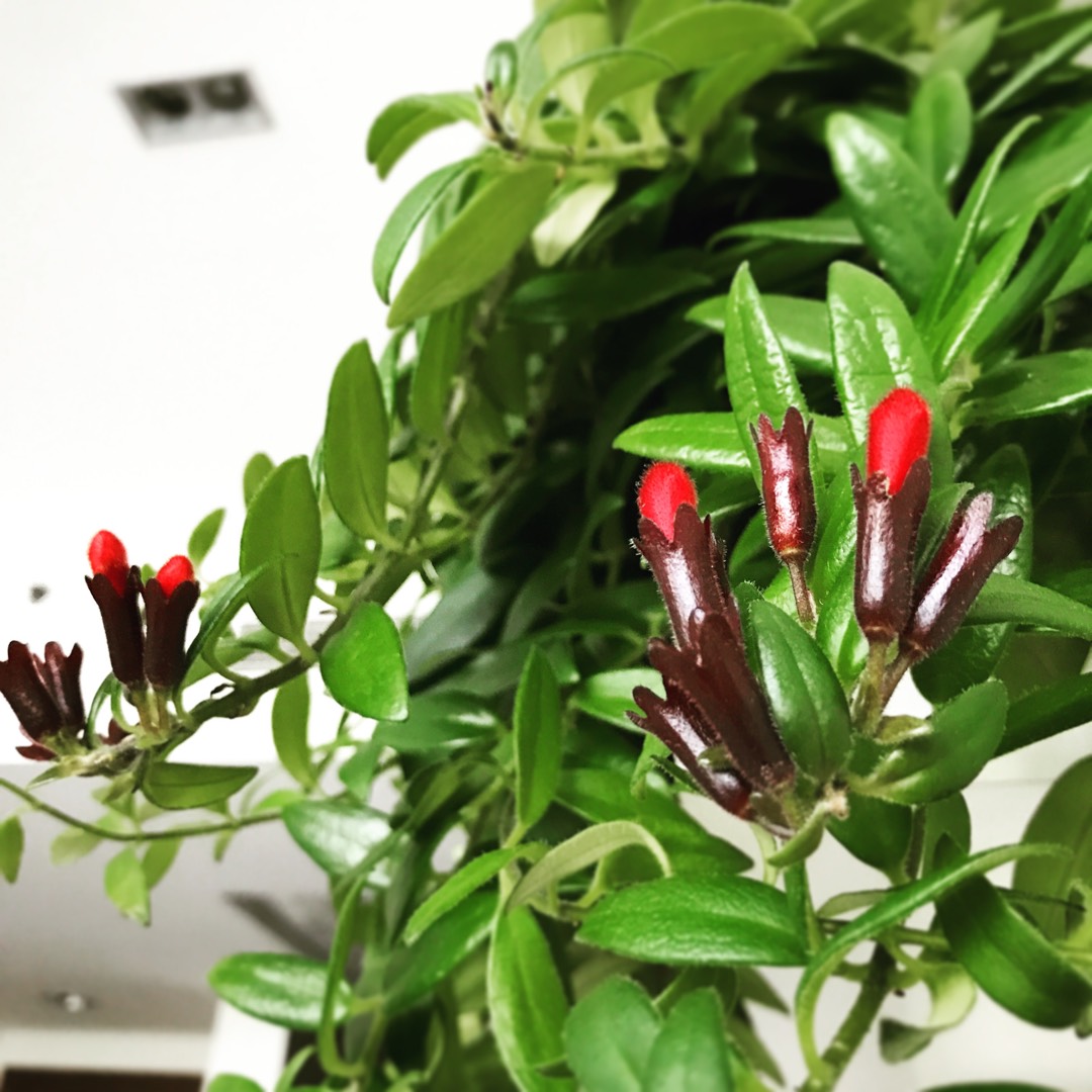 5 Activity Propensities That Are Obliterating Your Body After 50