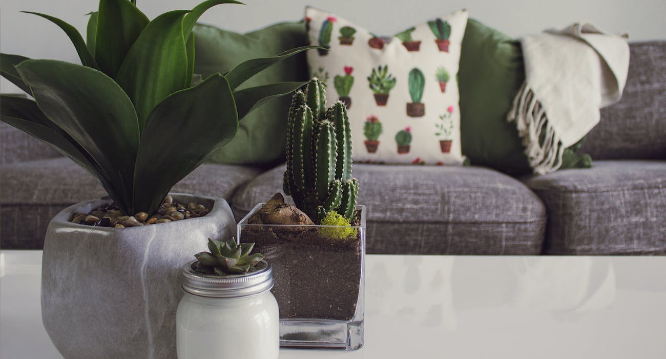 Green Elegance: Incorporating Plants into Your Home Decor
